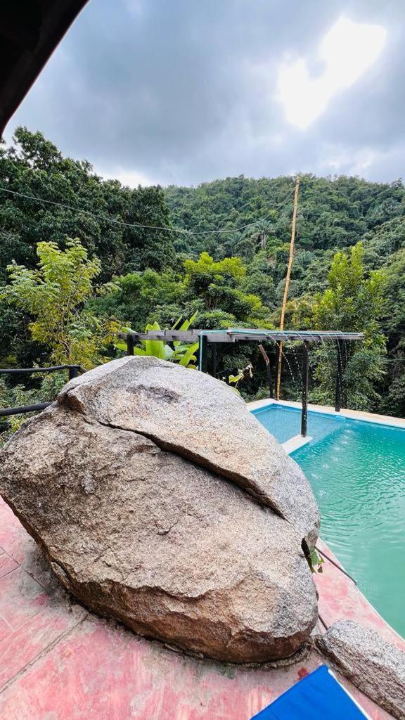 Minca Cabana La Roca Santa Marta Dış mekan fotoğraf