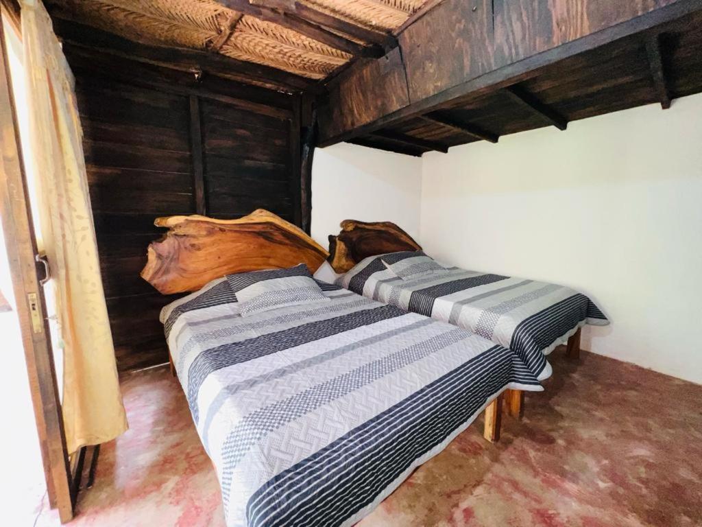 Minca Cabana La Roca Santa Marta Dış mekan fotoğraf
