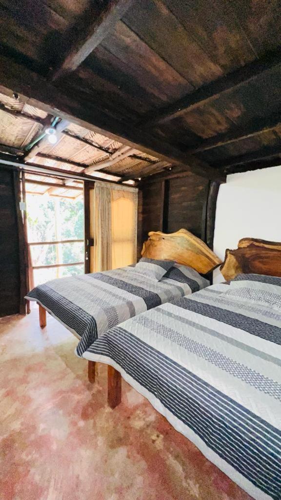Minca Cabana La Roca Santa Marta Dış mekan fotoğraf