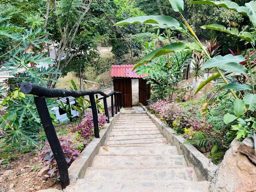 Minca Cabana La Roca Santa Marta Dış mekan fotoğraf